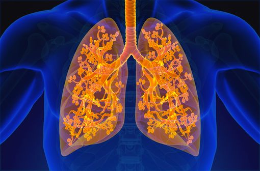 Obstruction des petites voies aériennes en Santé au Travail